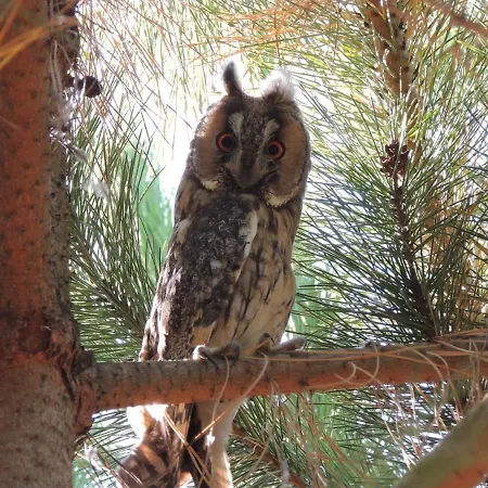 Chalet Atypique Lola Type Kota Location En